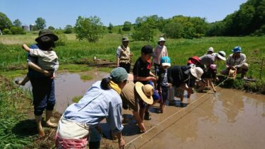 2026年きらくる村　「本格田んぼ」への挑戦！