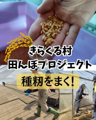 命を繋ぐ「お米作り」がスタート！お米の種まきしました！